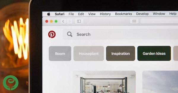 Pinterest Management for your Small Business