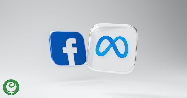 Facebook Page Management for your Small Business